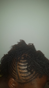 Cornrows and twists as protective styling-no extension